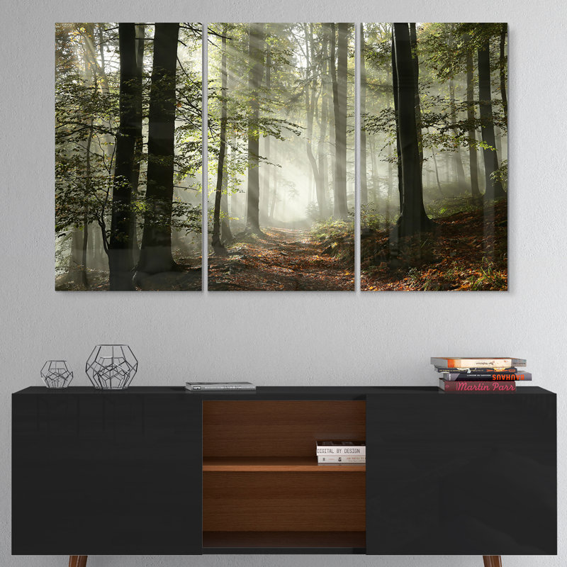 Lumière dans une forêt d'automne dense avec brouillard - art mural en métal paysage multipanel