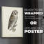 French Owls III - Impression sur toile seulement - NON-CADRE-19379501