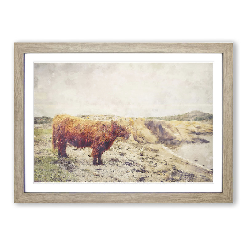 Highland Bull Cow Vol.3 - Framed Print, 48cm H x 65cm W x 2cm D, Oak Framed