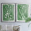Toile encadrée de qualité supérieure Green Botanical I - prête à être accrochée-263943464-263943465