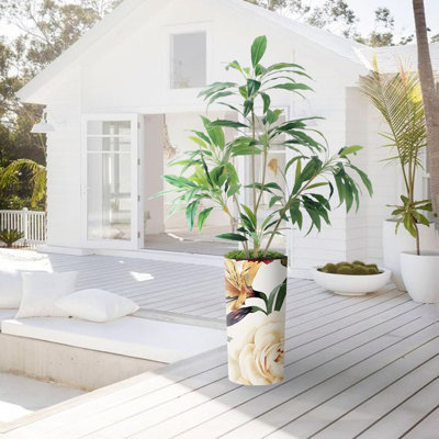 66 plantes