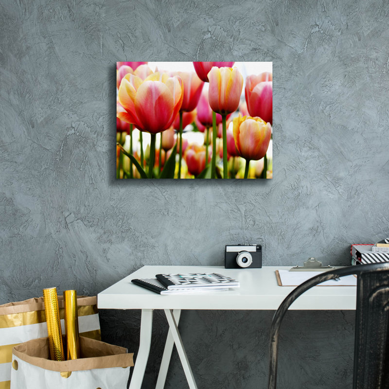 "Tulipes" par PhotoINC Studio, H 12 po x l 16 po x P 0,75 po