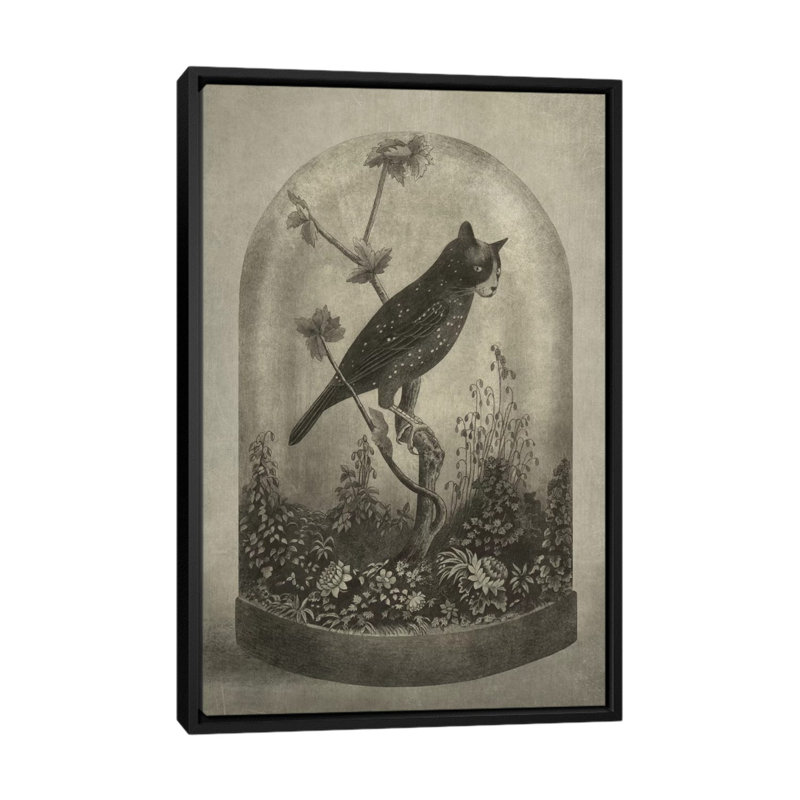 "The Curiosity" par Terry Fan, impression sur toile tendue, H 26 po x l 18 po x P 1,5 po, Toile encadrée noire, Pas de tapis