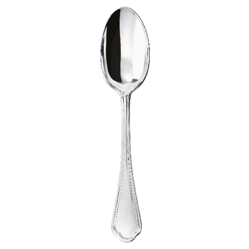 Filet Toiras Stainless Steel Serving Spoon