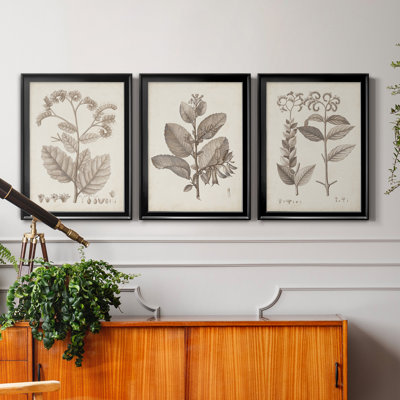 Antique sépia botanicals iv - ensemble de 3 peintures sur toile encadrées