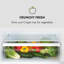 Luminance 422 L Bottom Freezer Fridge