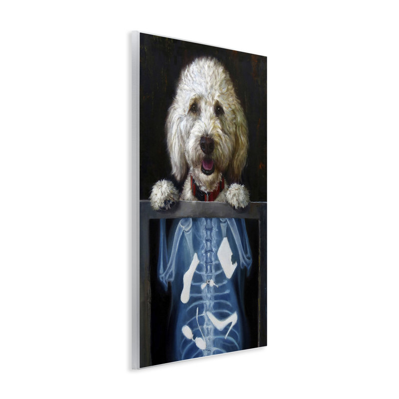 «Stupell Industries», plaque de radiographie amusante par Lucia Heffernan-au-945, H 15 po x l 10 po x P 0,5 po