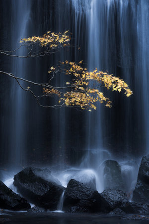 Wrapped Canvas Print, 50.8 cm H x 76.2 cm W
