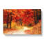 Path Through The Forest At Autumn In Abstract - Wrapped Canvas-55337833