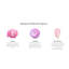 Duchess Peony Reed Diffuser