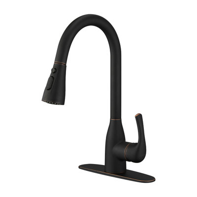 Cobbe Pull Down Kitchen Faucet