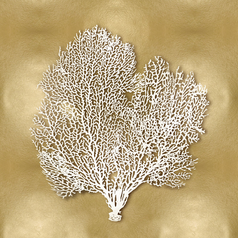 Sea Fan On Gold II by Caroline Kelly - Wrapped Canvas Print, 76cm H x 76cm W
