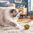6-Piece Assorted-Color Wool Yarn Pom Pom Ball Set for Interactive Kitten Chasing