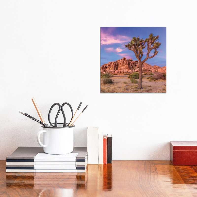Joshua Tree Evening Scenery by Melanie Viola - Wrapped Canvas Print, 30.48 cm H x 30.48 cm W