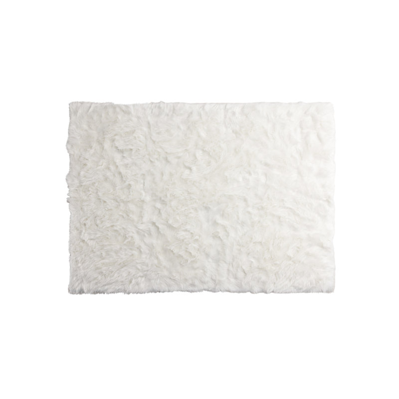 Airam 160cm X 230cm Area Rug, White