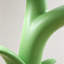 Table d'appoint Lily Of The Valley