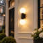 Sharissa 2-Light Black Armed Sconce