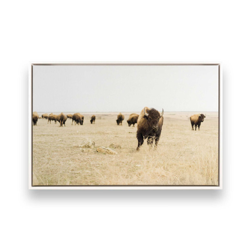 Impression sur toile Wild Plains, Cadre flottant blanc opaque, H 8,75 po x l 12,75 po x P 1,75 po