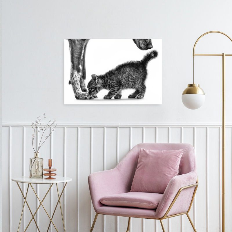 Chat doux et chaton, affiche murale contemporaine pour chat et chien, H 24 po x l 36 po