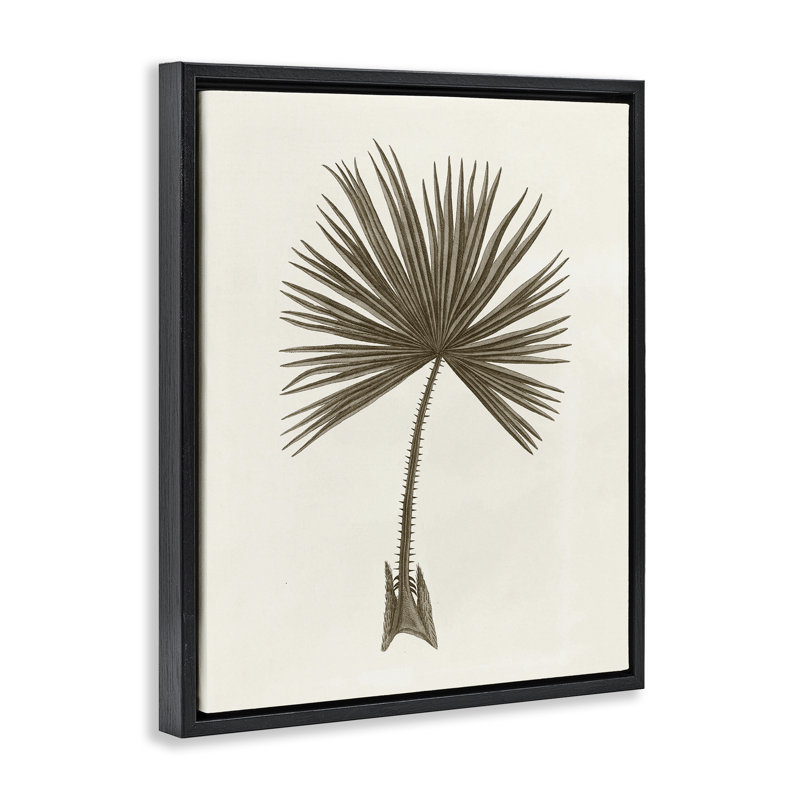 Étude rétro de cadre flottant feuille de palmier, design par Phillipa Katz, Cadre flottant noir de jais, H 21 po x l 17 po