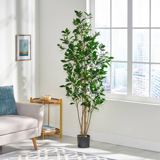 Primrue Abernethy Faux Laurel Tree in Pot & Reviews | Wayfair