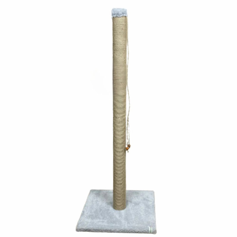 Grattoir pour chat, Gris