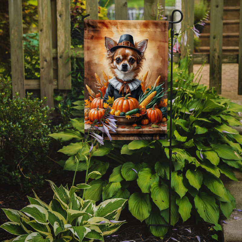 Drapeau du jardin de l'Action de grâce, Chihuahua