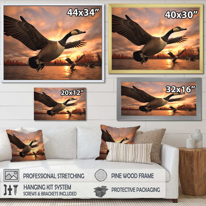 " Canada Canadian Geese I ", Black Floater Framed, 30" H x 40" W x 1.5" D