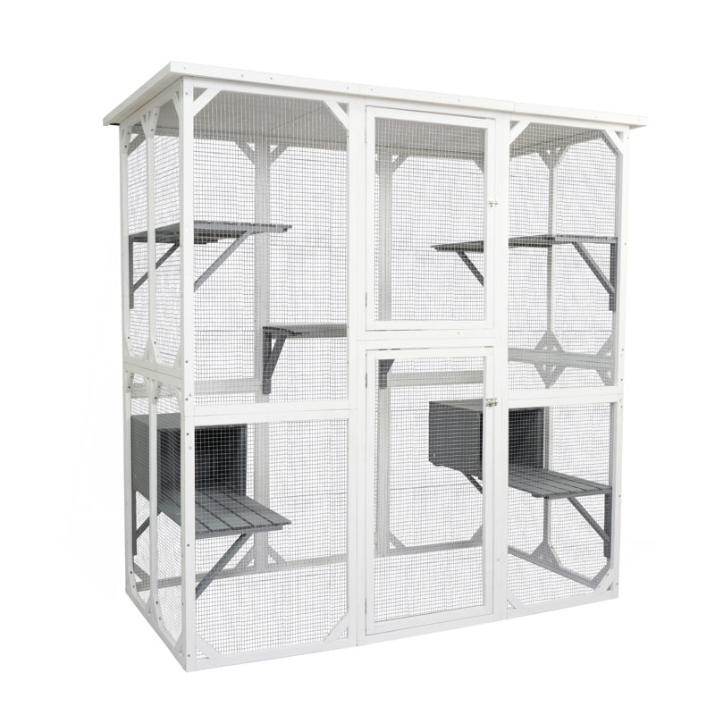 Cage à chat avec jolie maison mignonne pour animaux de compagnie