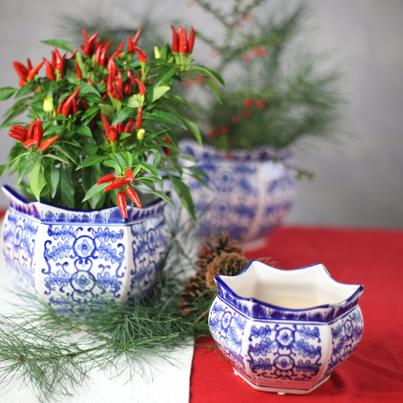 Ensemble de jardinières Blue Garden