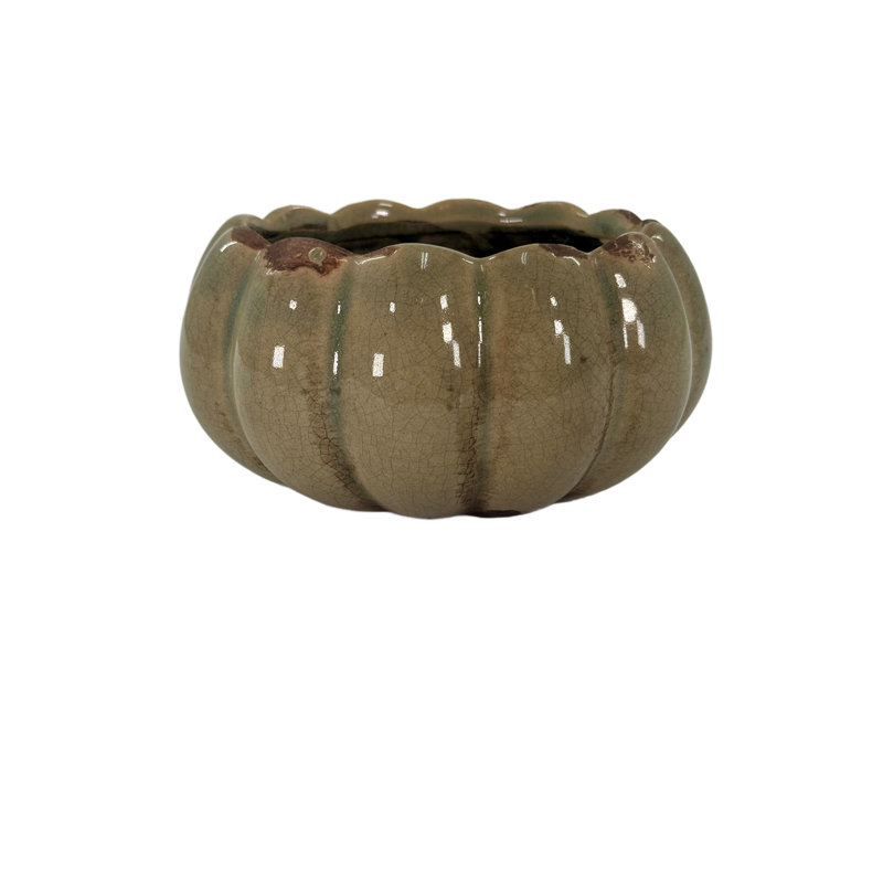Bougie pétale, bougie, vanille, livre, 8 oz