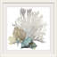 « Coral » par Aimee Wilson - reproduction d'impression sur toile tendue-403207844-515388064-403263568