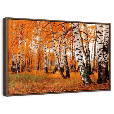 Forêt de bouleaux orange