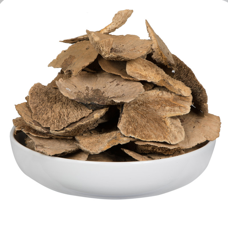 Vickerman Natural Botanicals 4"-6" Sponge Mushroom, Medium. Includes 50 pieces per Pack.