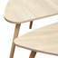 Ensemble de 2 tables gigognes gigognes, table triangulaire, table ovale, table basse de loisirs de style contemporain-625632329