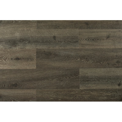 Augustus 7.71'' W x 72.83'' L x 12'' Oak Laminate Flooring