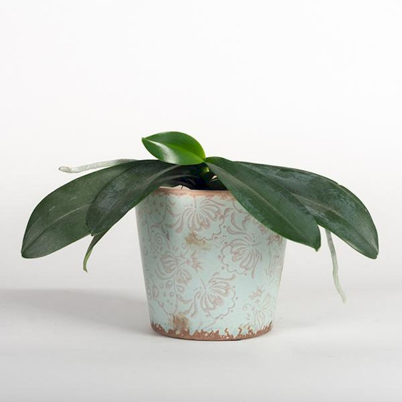 Ceramic Cachepot