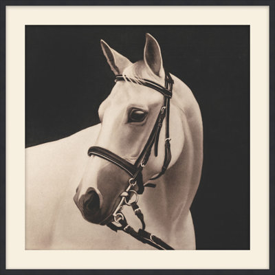 Comrade 1 Framed Print