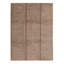 Silk Area Rug