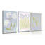 3 Piece Wrapped Canvas Print