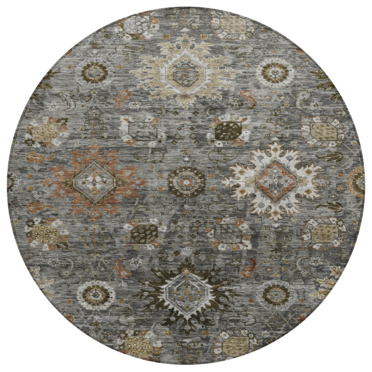 Machine Washable Indoor/Outdoor Xhevrie Pewter Rug