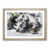 Oak Framed