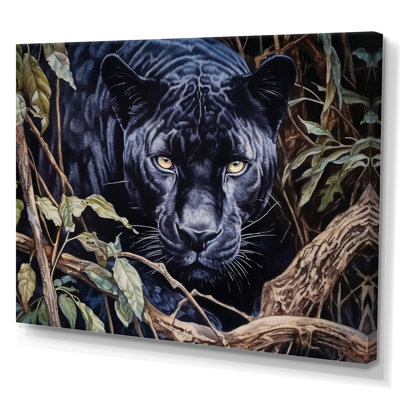 " Panther'S Gaze II "
