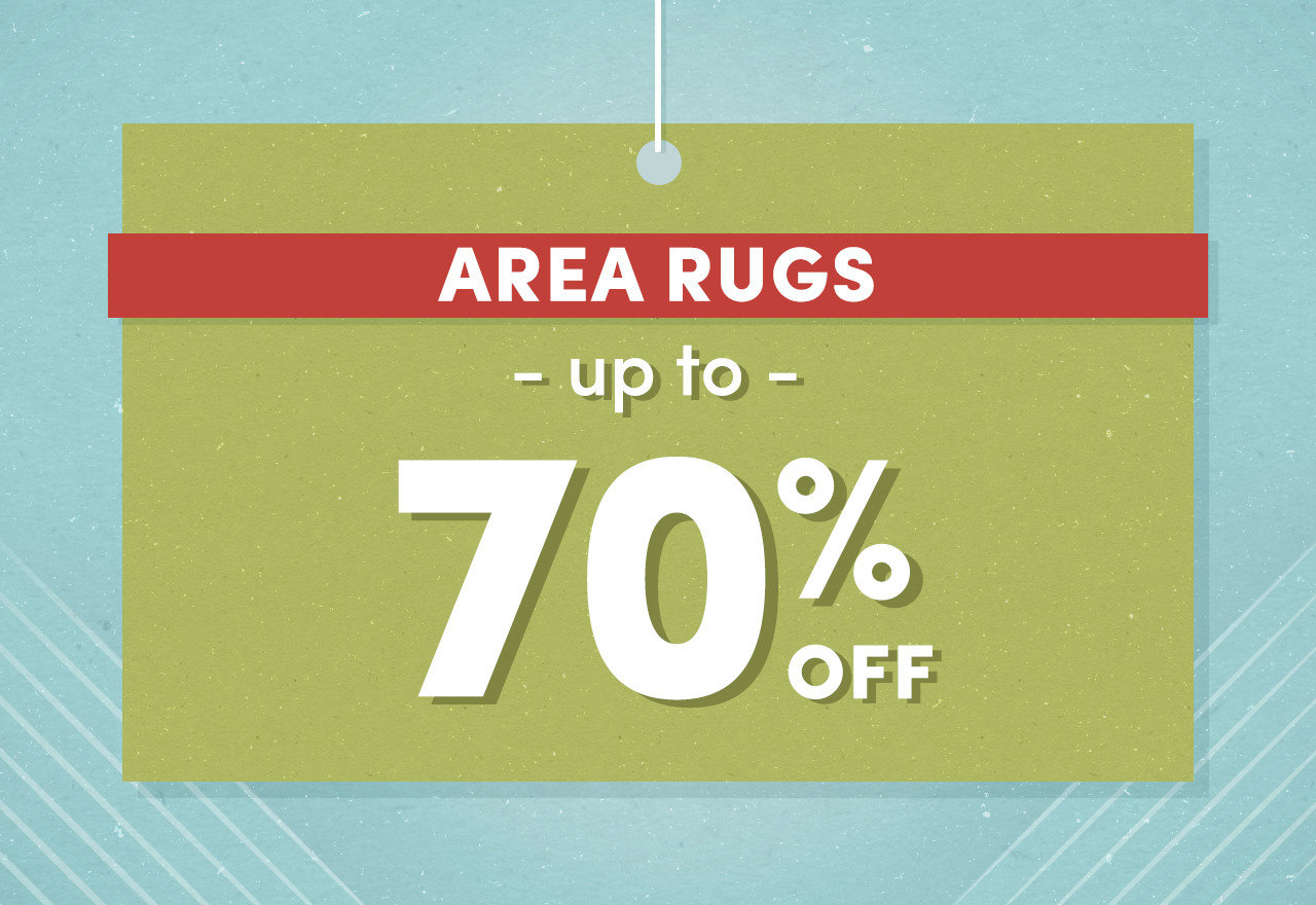 Area Rug Outlet 2024 Wayfair