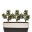 Plante grasse artificielle de 13 po Steele