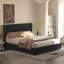Lit rembourré en velours avec 4 tiroirs de rangement Better Home Products Izayah-812012295-812012411