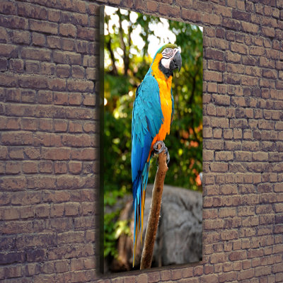 Ara Parrot - Wrapped Canvas Print