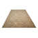 Forres Oriental Indoor Rug