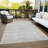 Tisdell Area Rug with Non-Slip Backing-1718653559