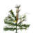 Lighted Pine Christmas Tree-1708352670